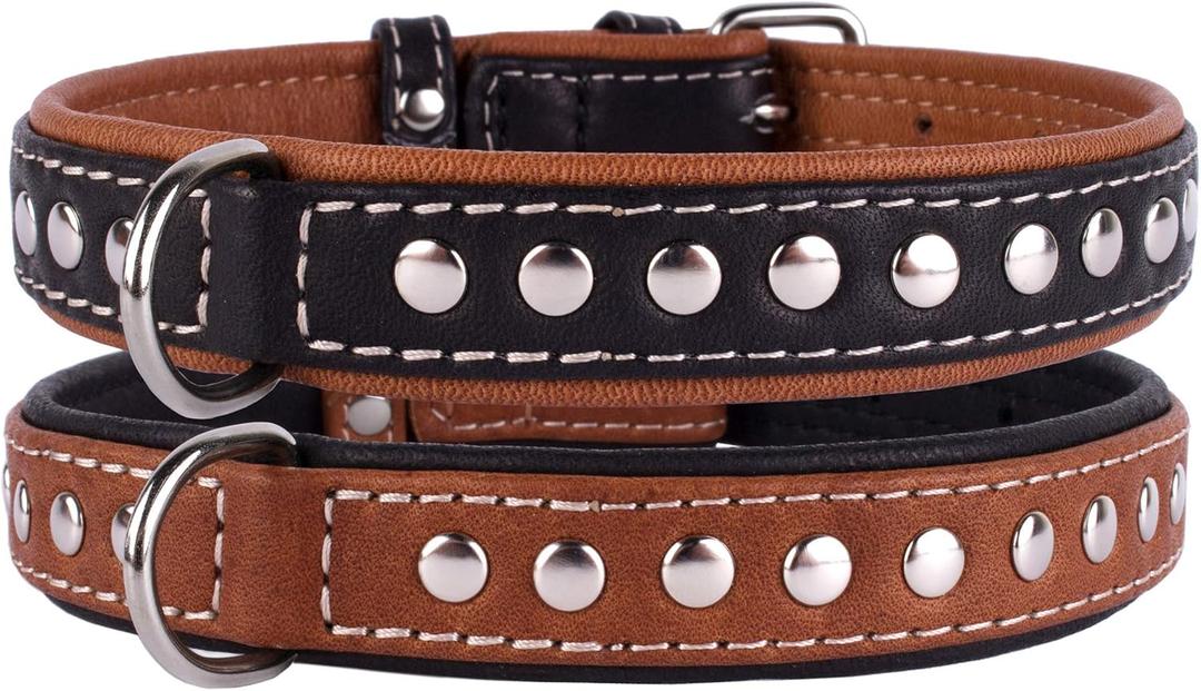 CollarDirect Studded Dog Collar Leather Pet Collars for Dogs Small Medium Large Puppy Soft Padded Brown Black (Black, Neck fit 11" - 13") (11-13 Inch, Black)