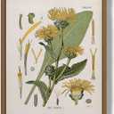 Bzstyleart Framed Vintage Wall Art,Botanical Wall Art Prints for College Dorm Decor,8 x 10 Inch Ferns Botanical Framed Artwork Home Decor,Canvas Picture Print for Living Room Office Dorm Bathroom