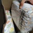 The Honest Company Daytime Diapers, It's a Pawty, Size 6, 68 Count