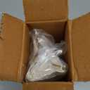 GSM Solid Brass Cricket ~ Fireplace Crickets on The Hearth