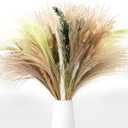 N&T NIETING 85 Pcs Green Dried Pampas Grass-White Pompas Grass, Brown Pampass Grass, Green Pompas, Reed Grass, Valentine Grass, Bunny Tails Dried Fowers for Home Wedding Boho Decor(18 Inch)