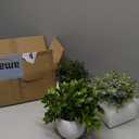 Winlyn Set of 3 Small Artificial Potted Plants Faux Eucalyptus Rosemary Boxwood Decorative Plants in Gray Concrete Ceramic Pots for Home Office Desk Shelf Table Indoor Outdoor Greenery Decorations