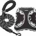 haapaw Dog Harness with Leash Set, No Pull Adjustable Reflective Step-in Puppy Harness with Thickened Padded Vest for Extra-Small/Small Medium Dogs (Black)