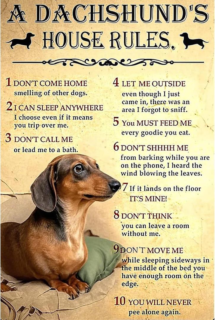 Retro Tin Sign Vintage Metal Wall Art for Home, Bar, Cafe, Garage or Office - Durable & Colorfast - Thoughtful Gift for Any Space - A DACHSHUND'S HOUSE RULES