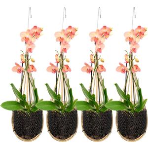 Yookeer Orchid Hanging Basket Thai Bamboo Woven 4 Inch Orchid Hanging Planter Pot with Metal Hook Bird Nest Style Plant Hangers for Trellis or Gazebo Indoor Outdoor Patio Garden Decoration