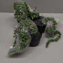 4 Pcs Artificial String of Pearls Plant in Black Pots Faux Realistic Succulents Fake Wall Hanging Planter Indoor for Greenery Shelf Desk Home Batchroom Farmhouse Garden Decorations