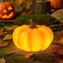 Solar Pumpkin Lights Garden Statues Outdoor Pumpkin Fall Decor Thanksgiving Halloween Decorations for Porch Terrace Yard Lawn Patio,2 Pack Small Pumpkin