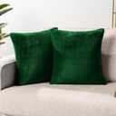 PAVILIA Emerald Green Throw Pillow Covers 18x18 Set of 2, Decorative Pillow Cases for Bed Sofa Couch, Boho Aesthetic Accent Decor Cushion Bedroom Living Room, Velvet Square Euro Sham Cover, Dark Green