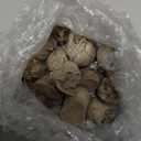 KatchOn Miniature Crows and Skulls  Pack of 40 | Halloween Decor Indoor, Outdoor | Halloween Decorations & Party Supplies | Skull Heads, Realistic Birds Decoration for Spooky Decor (Black & Brown)