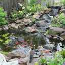 Pond Cover Net 10.5x10.5FT Pond Dome with PVC Support rods Leaf Net and Ground Studs for Pond and Garden