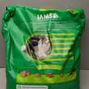 IAMS Proactive Health Adult Minichunks Premium Dry Dog Food, Adult Dog Food Dry Recipe, 30 lb. Bag, Best By 12/08/28