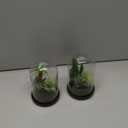 Set of 2 Artificial Succulents Plants in Glass Dome with Featuring Sand Moss, Small Fake Aloe Succulents Plants Faux Plants Indoor Decor for Home Office Table Desk Shelf Room Hostess Gift