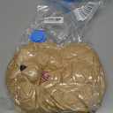 20" Posed Teddy Bear Stuffed Animal Cute Plush Toy for Girl Kids (Light Brown)