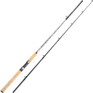 Sougayilang Spinning & Casting Rods, Strong Carbon&Glass Composite Fishing Rod with Stainless Steel Line Guides for Bass, Trout, Panfish, Catfish (9" H- M Fast- 2piece)