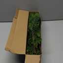 18 Inch Real Touch Cedar Branches - 8 Pcs Artificial Christmas Plants Branches, Faux Greenery Pine Stems Fake Cedar Picks for Vase DIY Crafts, Christmas Pine Branches for Home Indoor Decor