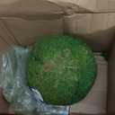 SuperMoss (21775) Preserved Moss Ball  Natural Green Decor for Home, Weddings & Events  Vase Fillers & Centerpieces, 12, Fresh Green