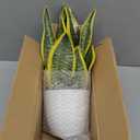 Hollyone Artificial Snake Plant Potted Faux Sansevieria Trifasciata Plants, 13" Tropical Fake Plants in White Pots for Home Office Room Indoor Decor Housewarming Gifts