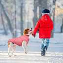 Warm Dog Coat, Windproof Dog Jacket Fleece Pet Winter Coats Solid Color Dogs Clothes Cold Weather Pet Jacket Vest Soft Puppy Apparel for Small Medium Dogs Cat (L, Pink)