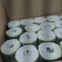 Marcal Pro Bulk Toilet Paper, 2-Ply, 500 Sheets, 100% Recycled, Individually Wrapped, 96 Rolls (AMZN-4131)