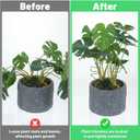 5 Pcs Plant Stakes for Indoor Plants, Reusable Iron Monstera Plant Support Structures Plant Supports for Indoor Plants Climbing and Thriving Growth Holders Gardening Accessories