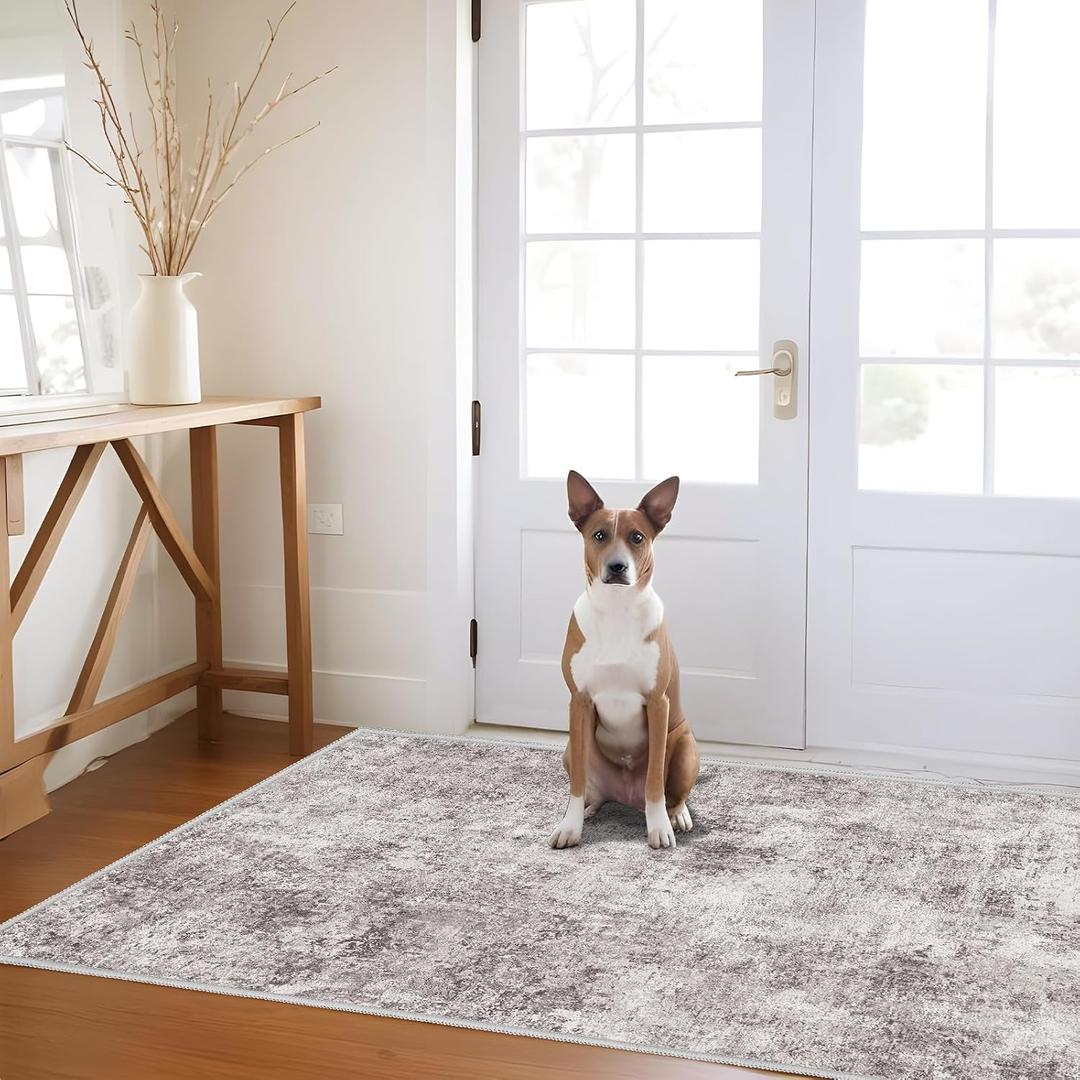 3x5 Washable Area Rug for Entryway: Small Abstract Neutral Rugs GrayCream
Premium Non Slip Backing Machine Washable Soft Low Pile Design Easy Clean for Kitchen Bathroom Bedroom and Pet Feeding Area
