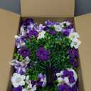 23" Artificial Boxwood Topiary Ball Trees with Petunias Flowers, Set of 2 Faux Outdoor Plants with Ground Spike for Outdoors, UV Resistant Fake Flowers for Outdoor Garden Yard Front Porch Patio Decor