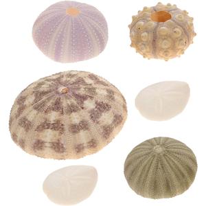 DOITOOL 6 Pack Natural Sea Urchins Shells Decor, Sea Urchin Shells for Craft and Home Decor, , Sea Theme Party, Assorted Colors