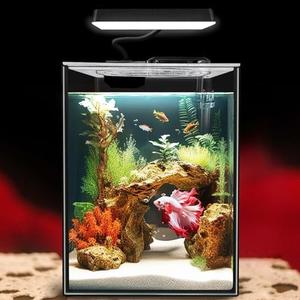 iPriro Glass Betta Aquarium Starter Kits 1.5 Gallon Small Fish Tank, Betta Fish Tank with LED Light, Power Filter, Black. 4mm Glass : Pet Supplies