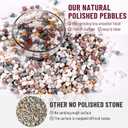 Diameter 0.5 Inches 5lbs 1280pcs Natural Mixed Color River Rocks, Decorative Ornamental Pebbles,Garden Landscaping Stones,Gravel Filler for Home Decoration Flower Bed Fish Tank Plants Vases Succulents