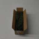 Watayo 60 Pcs Christmas Artificial Pine Branches with Red Berry Stems, 10.5" Faux Evergreen Norfolk Pine Cypress Leaves Stems, Fake Foliage Pine Needles Picks for DIY Craft Garland Home Decor