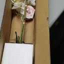 Dolly Parton White Artificial Orchid in Pink Ceramic Pot, 9.8x5.5x24 Inch