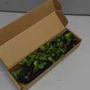 4 Pcs Artificial Ficus Branches Faux Eucalyptus Stems, 47.2 Inch Fake Greenery Stems Artificial Plants for Vase Filler Decoration, Fake Leaves Branches Centerpieces Decor