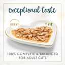 Purina Fancy Feast Gravy Lovers Turkey Feast Grilled Gourmet Cat Food in Wet Cat Food Gravy - (Pack of 24) 3 oz. Cans, BBD: APR 2028