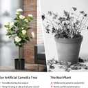 3FT Artificial Camellia Tree 2 Pack, Artificial Plants Outdoor Faux Floral Plant in Cement Pot Fake Silk Camellia Tree Plants for Home House Living Room Office Decor