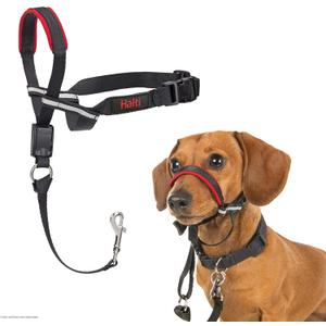HALTI Optifit Headcollar - To Stop Your Dog Pulling on the Leash. Adjustable, Reflective and Lightweight, with Padded Nose Band. Dog Training Anti-Pull Collar for Small Dogs (Size Small)