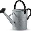 1 Gallon Watering Can for Plants, Watering Cans for Indoor&Outdoor Gardening, Galvanized Steel Watering Pot with Removable Spout, Metal Water Can with Ergonomic Movable Handle (Rustic Silver)