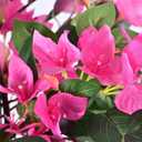 Artificial Bougainvillea Tree -5FT Faux Bougainvillea Tree with Realistic Flowers, Tall Fake Flower Tree for Indoor or Outdoor Decor, Silk Floral Plant for Living Room, Porch, Garden (Pink)