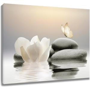 EOBTAIN Zen White Flower Canvas Wall Art Floral and Butterfly on Stone Modern Framed Picture Yoga Spa Spiritual Painting Artwork Print Decor for Bathroom Bedroom Living Room 24x16 Inches (16L" x 24W", Grey)