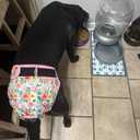 Leekalos Reusable Washable Dog Diapers Female (3 Pack) - Highly Absorbent Doggie Diapers - Size Adjustable Puppy Diapers for Dog Period Panties (Large, Flora)
