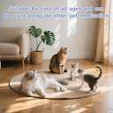 Cat Calming Spray, Pheromone Diffuser Spray for Stress Relief, Reduce Scratching & Spraying, Travel and Home Use (2PCS)