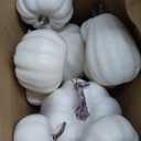 CCINEE 12PCS White Artificial Pumpkins,Assorted Size Foam Pumpkins for Halloween Thanksgiving Fall Table Centerpiece Party Decoration