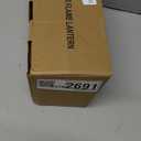 Christmas Solar Flame Lantern Hanging Outdoor Waterproof - 2 Pack Flame Lanterns with Dual Charging Modes of Solar & USB for Garden or Yard Decorations (Green - 2 Pack)