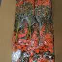 36 Pcs Artificial Mums Flowers Outdoor Plastic Fall Flowers Fake Mums Autumn Greenery Flower for Porch Window Box Farmhouse Thanksgiving Home Decor(36, Orange)