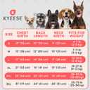 KYEESE 2Pack Waffle Dog Shirts, Lightweight Sleeveless Dog T Shirts for Small Dogs Boy Girl, Breathable Puppy Vest Comfortable Tank Top Soft Dogs Clothes for Daily Wear, Red+Striped, S