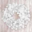 National Tree Company Artificial Christmas Wreath, White, Winter Frost, 24 inch