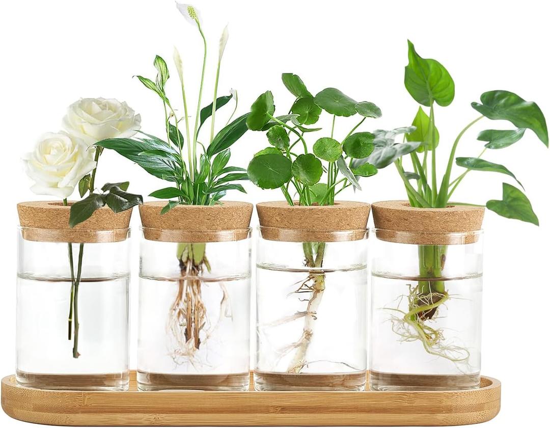 Dahey Plant Propagation Terrarium Desktop Glass Planter Station Water Planting Glass Vase with Lid and Wooden Stand for Propagating Hydroponic Plants Centerpiece Office Home Garden Decor, 4 Pcs (Large)
