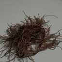 YEQIN 2 Yards Natural & Soft Ostrich Feathers Fringe Trims Ribbon - Used for Dress, Sewing Decoration, Craft Clothing, Boots, Wedding Decoration, DIY, Etc (Brown)