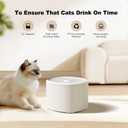 Automatic Cat Feeder, Relihom 4L Auto Cat Feeder Dry Food Dispenser, Electric Pet Feeder Dual Power Supply, Programmable Pet Feeder Timed 1-6 Meals Per Day, 1-9 Portion