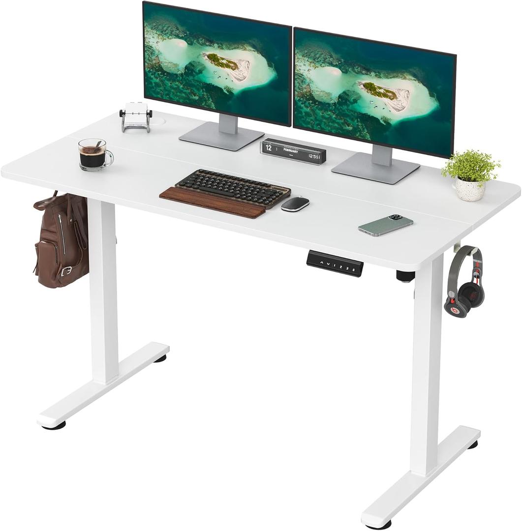 Casaphoria 48 x 24 inches Electric Standing Desk, Sit to Stand Desk with Memory Height Adjustment, Home Office Computer Desk for Writing and Games, White