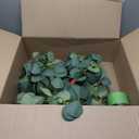 2 Pack Artificial Eucalyptus Garland Faux Silk Leaf Silver Dollar Eucalyptus Leaves Vines Handmade Garland Greenery Wedding Backdrop Indoor Outdoor Arch Wall Decoration